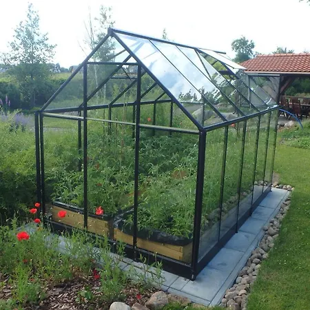 U Aptekarzy Шимбарк