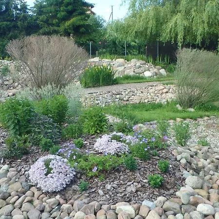 U Aptekarzy * Шимбарк