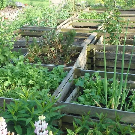 U Aptekarzy * Шимбарк