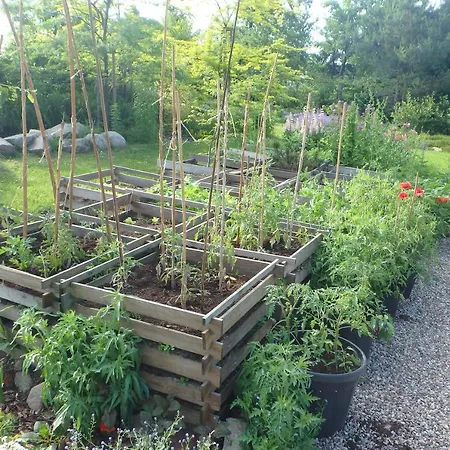 U Aptekarzy * Шимбарк