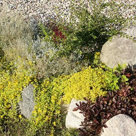 U Aptekarzy Апартаменты *