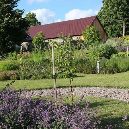 Апартаменты U Aptekarzy