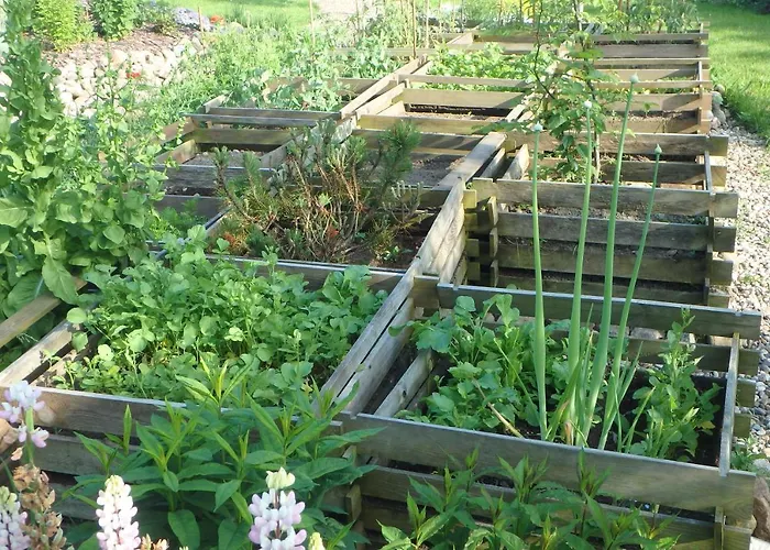 U Aptekarzy * Szymbark (Pomerania)