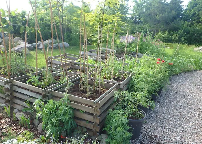 U Aptekarzy * Szymbark (Pomerania)