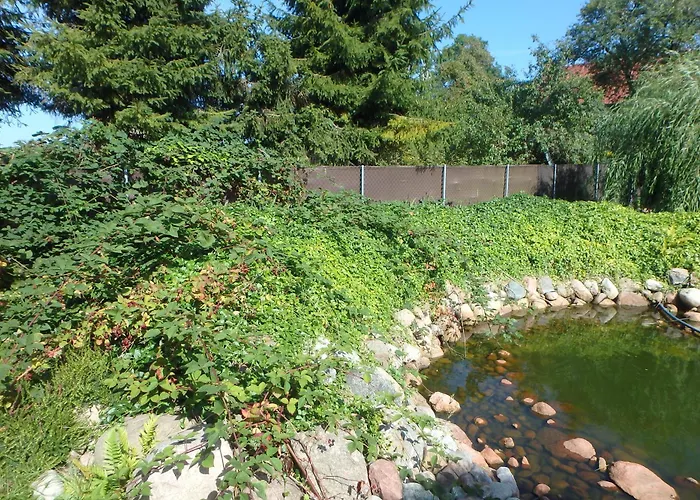 Lägenhet U Aptekarzy *