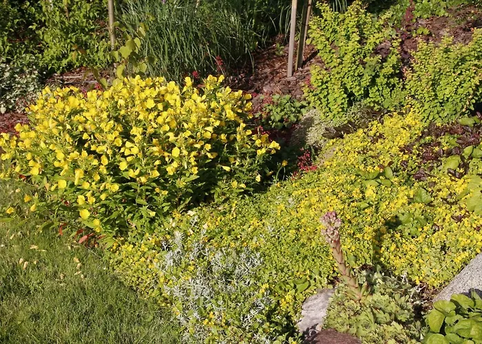 U Aptekarzy Lägenhet *