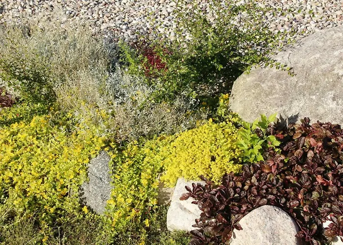 U Aptekarzy Lägenhet *